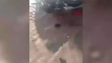 Alkollü Sürücü Bahçeye Uçtu!