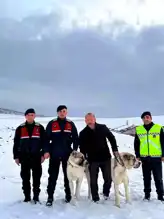 Kırşehir'de Çalınan Çoban Köpekleri Bulundu