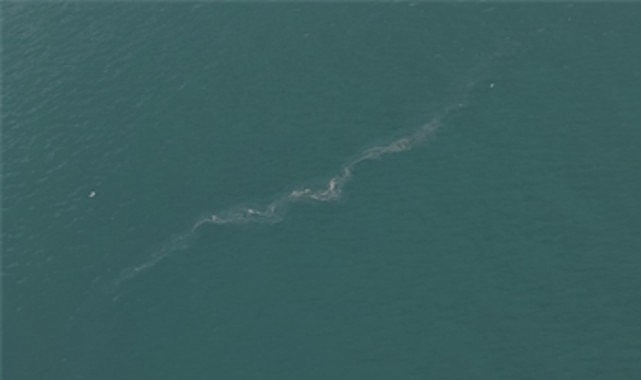 İzmir Körfezi’nde 13. dış kaynaklı kirlilik vakası